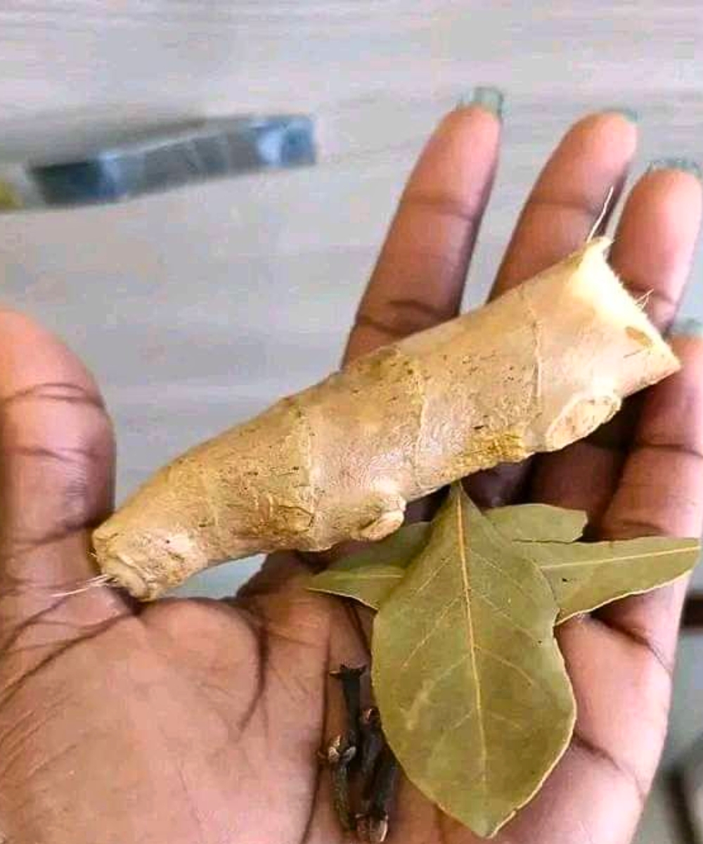 Sip Your Way to Better Health: Why Ginger, Clove & Bay Leaf Tea Before Bed Works Wonders