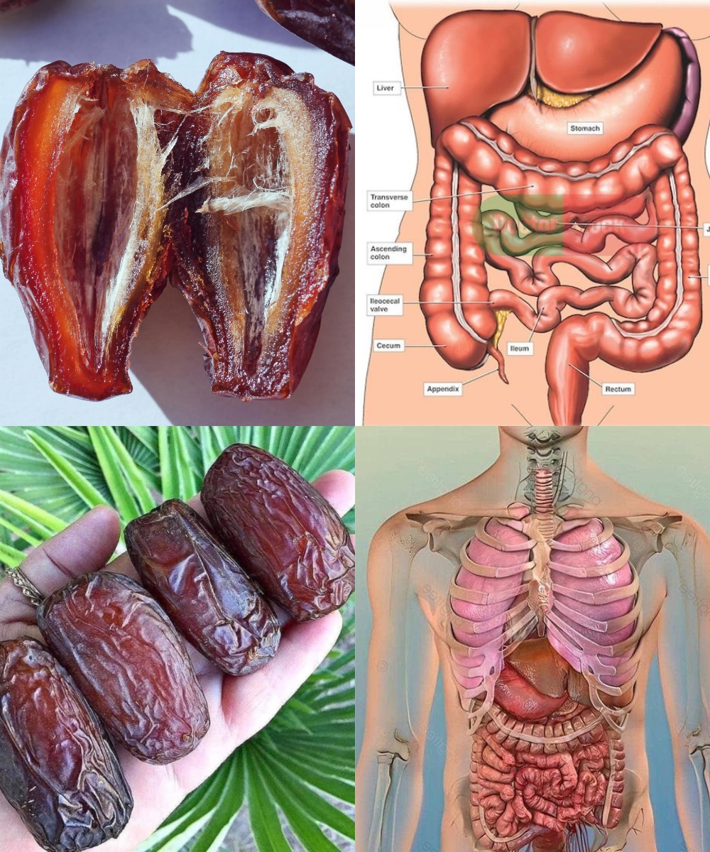 Discover the Amazing Health Benefits of Honey and Walnuts — Nature’s Perfect Duo!