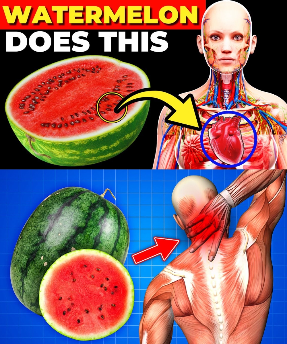 Eat Watermelon Every Day and See What Happens to Your Body! The Results Will Surprise You!