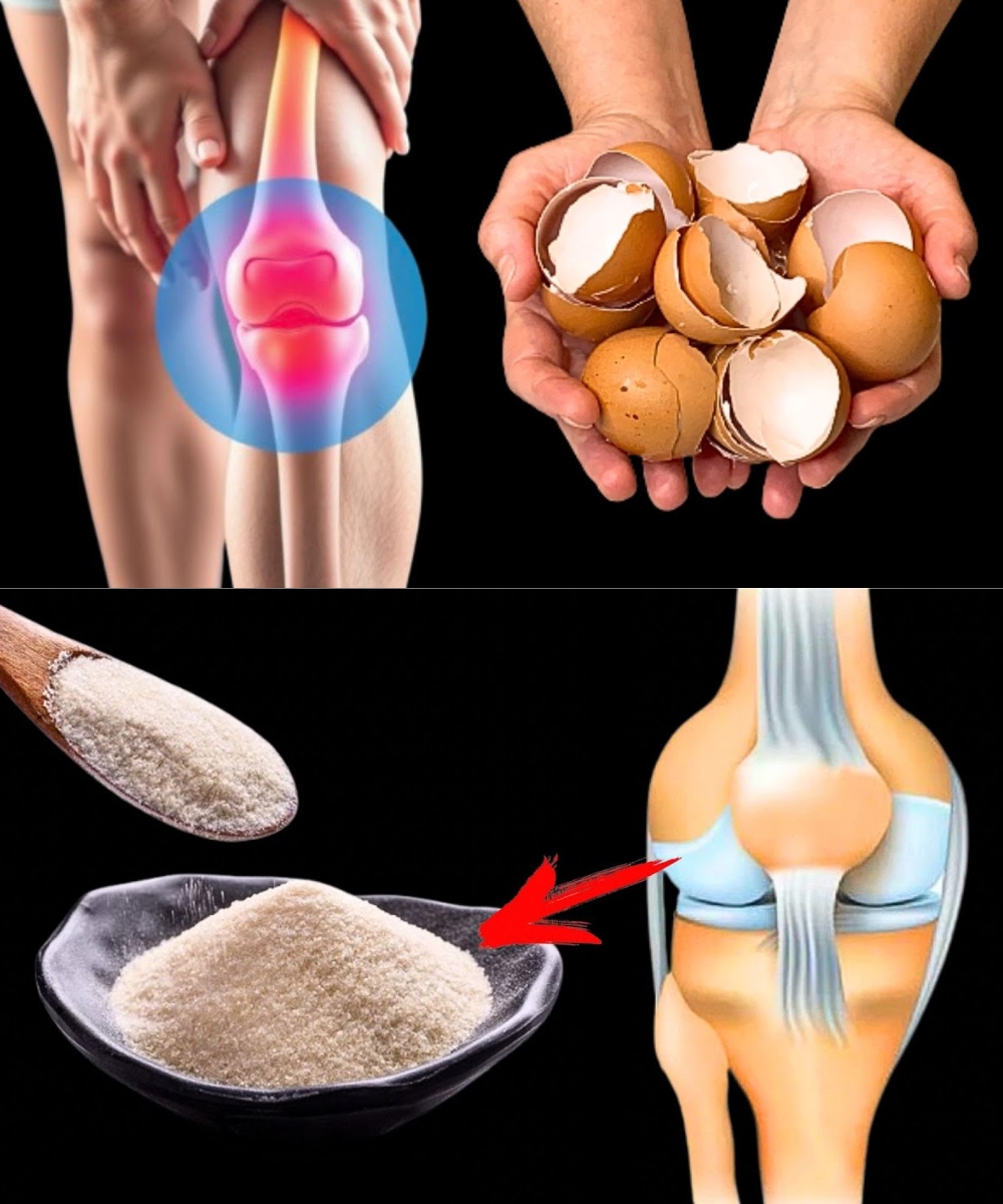 Don’t Toss Your Eggshells! You’ll Be Shocked at How Useful They Really Are