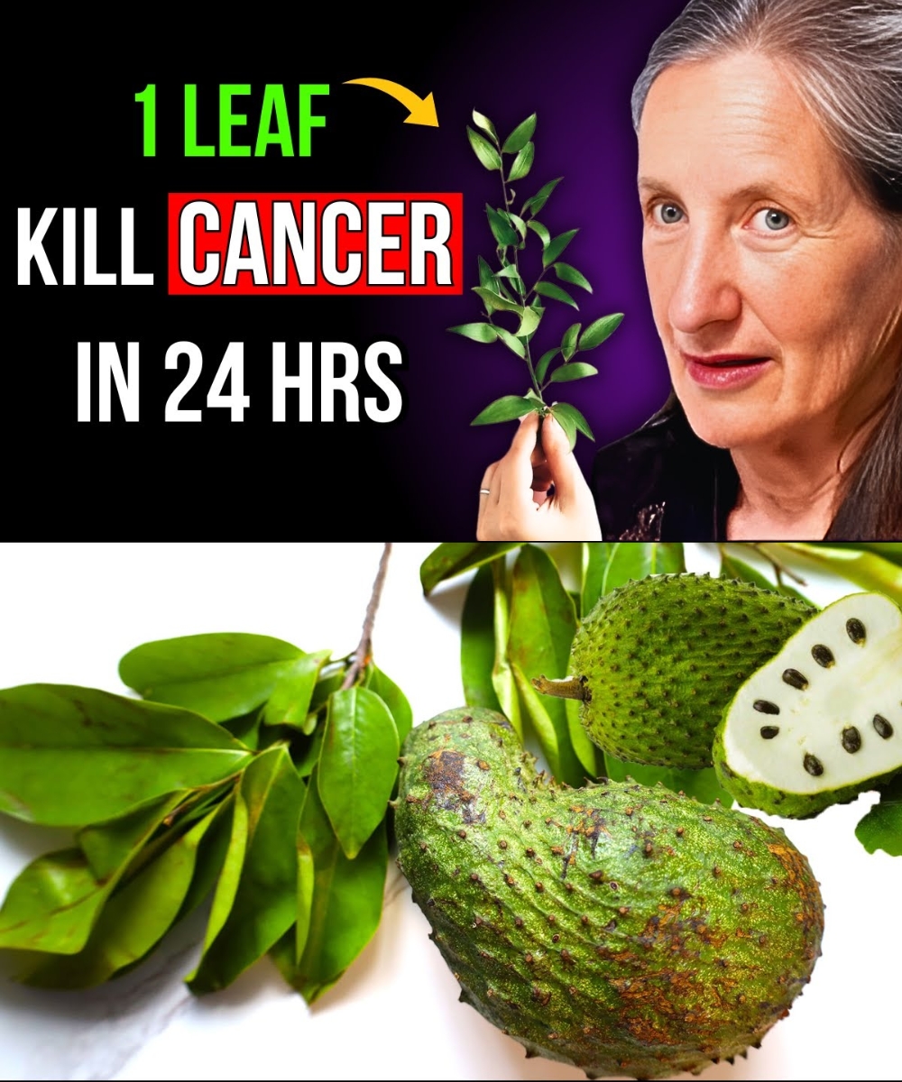 The Leaf That Fights Cancer Naturally – What Pharmacies Don’t Want You to Know!