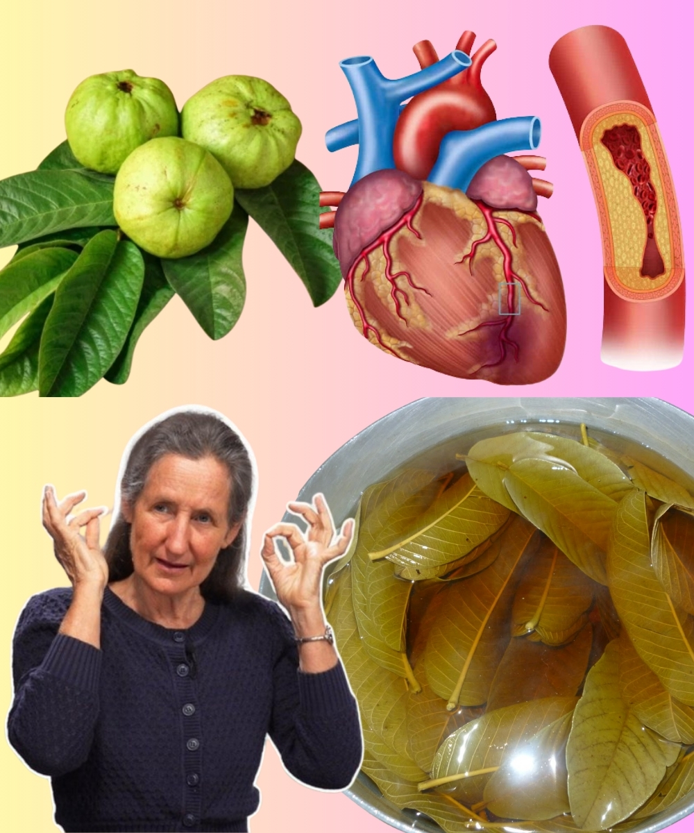 The Ultimate Morning & Evening Tea: A Delicious Blend to Boost Energy and Calm Your Mind