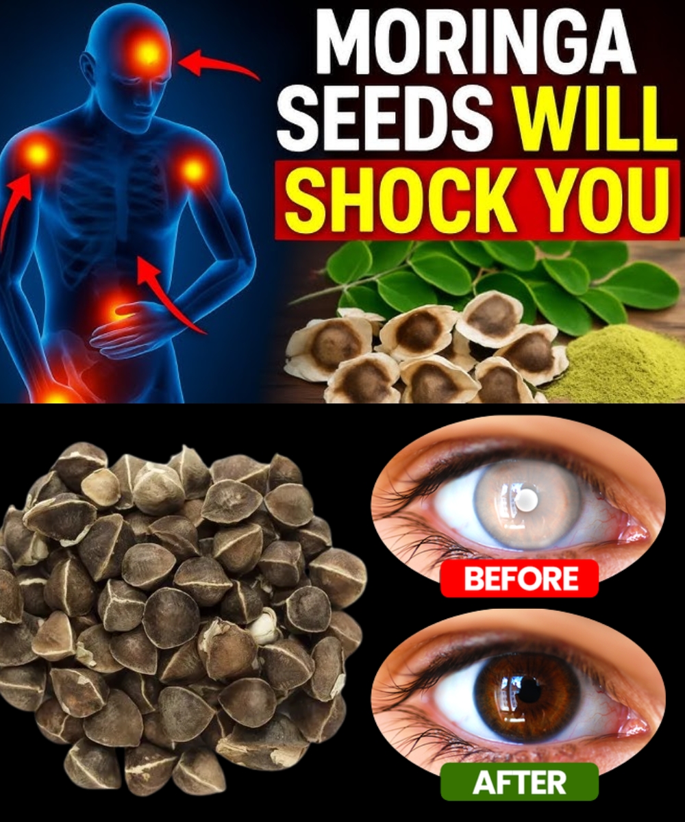 12 Moringa Seed Benefits Your Doctor Won’t Tell You (But You NEED to Know!)