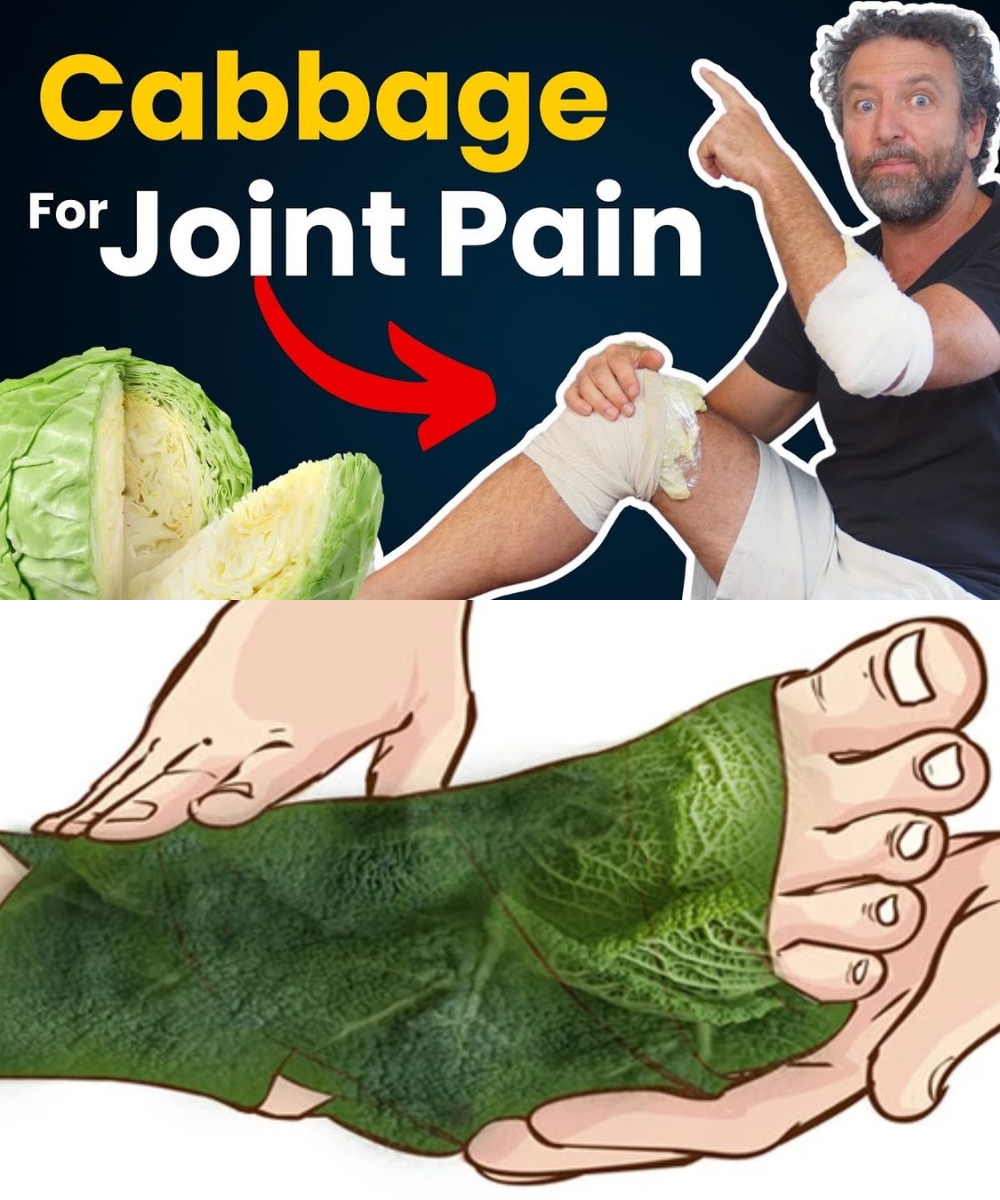 Stop Bone-on-Bone Pain Naturally! Discover How Cabbage Can Relieve Arthritis and Soothe Your Joints