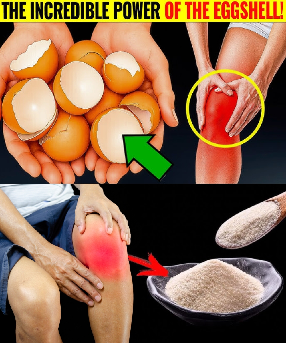 Don’t Throw Away Eggshells Ever Again — Here’s Why Everyone’s Saving Them!