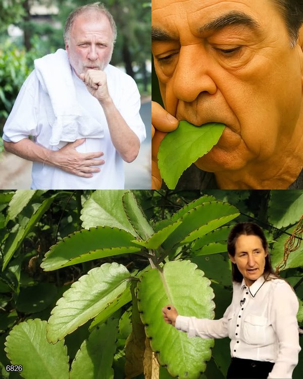 15 Hidden Powers That Will Transform Your Health Starting TODAY!