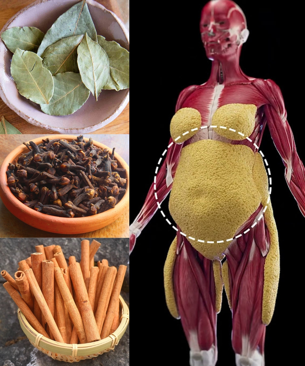 Cinnamon Tea: The Quiet Sip That Brings Natural Balance to Your Day