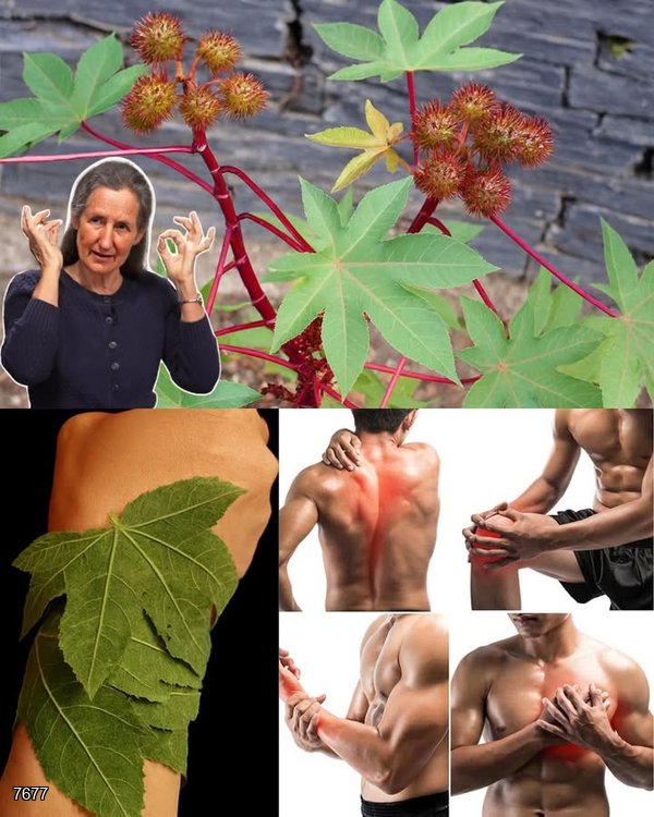 10 Mind-Blowing Benefits You’ve NEVER Heard Of!