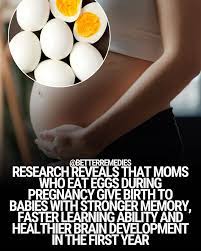 How Eggs Help Boost Your Baby’s Brain Development — Moms Need to Know This!